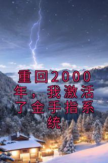 重回2000年，我激活了金手指系统